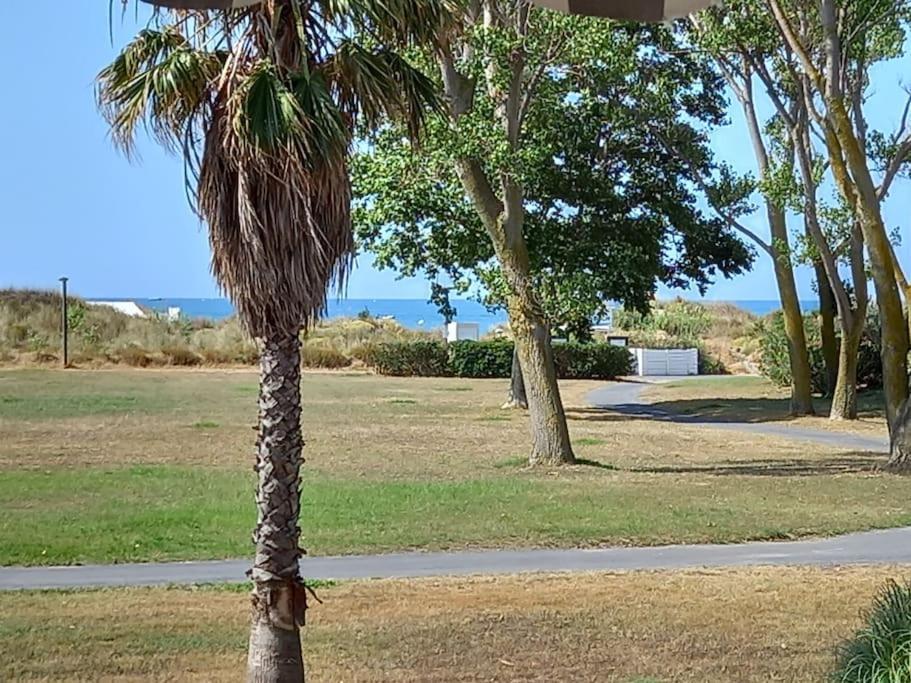 Amouvera C14, T2 Vue Mer, Piscine, Clim, Parking Agde Extérieur photo